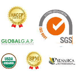 elegirnos1-01-01-01-01