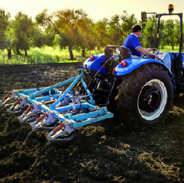 elegirnos1-01-01-01-02