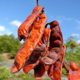 elegirnos1-01-01-01-03